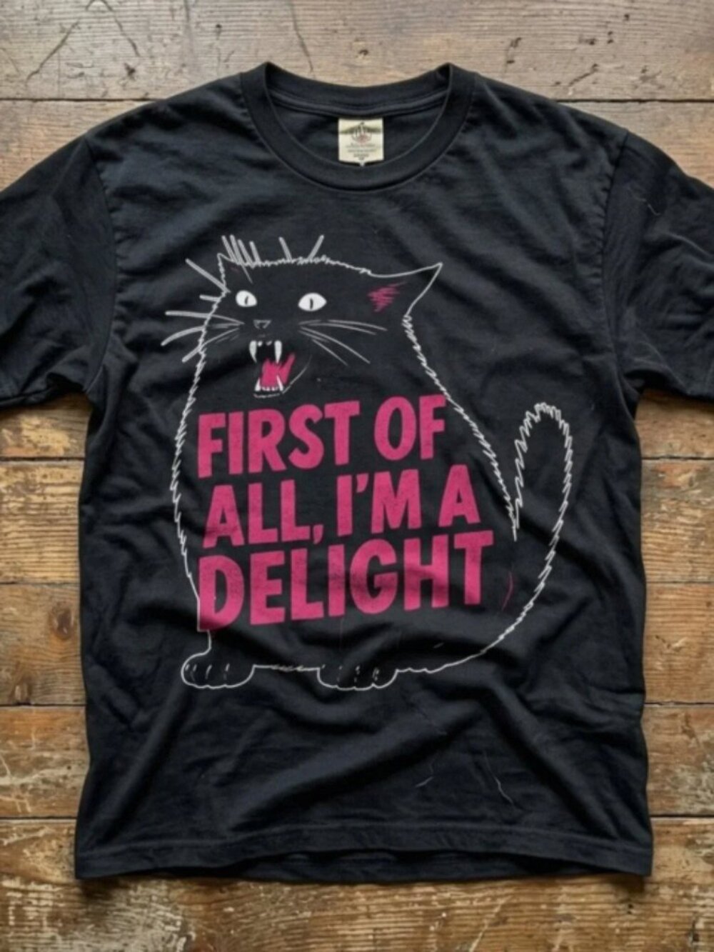 Funny Black Cat Graphic Tee First Of All Im A Delight Vintage Humor Shirt